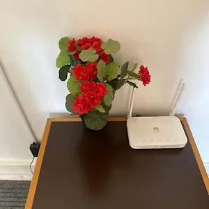 Rose View Lisbon
